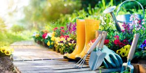 Organic Gardening: Essential Tips for Going Green