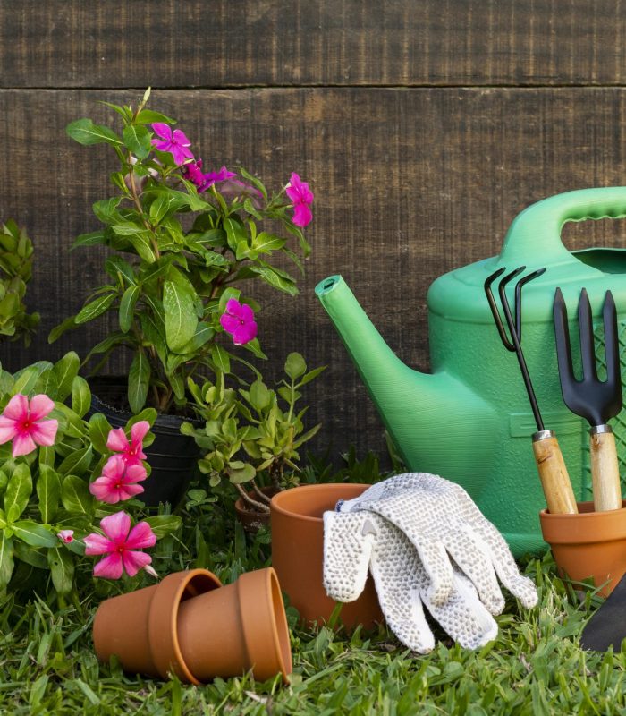 plants-pot-with-watering-can
