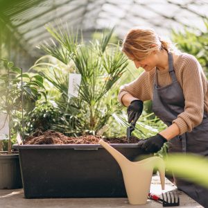 Woman gardner in a greenhouse
